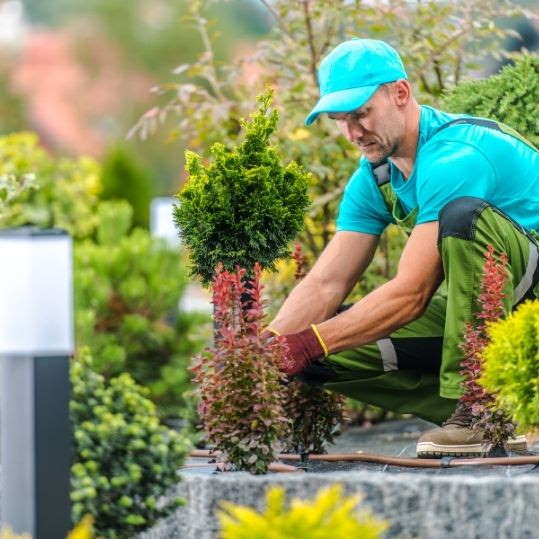 Servicio De Jardinería Buenos Aires Argentina 4839